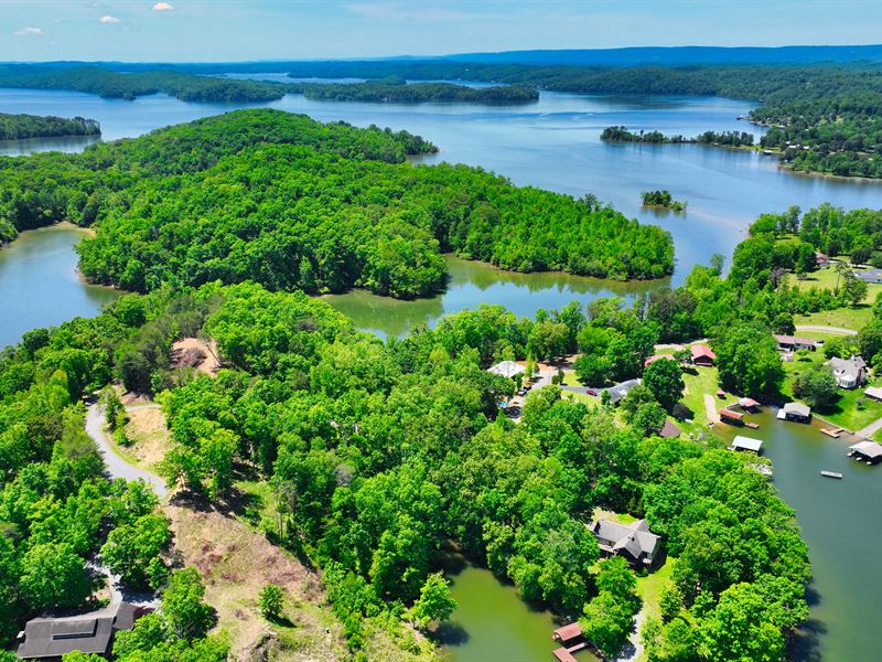 Must Sell Waterfront Parcels : Spring City : Rhea County : Tennessee