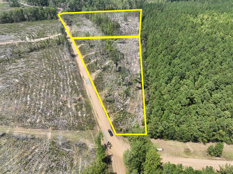 7 Acres, County Road 2108 T-1 : Burkeville : Newton County : Texas