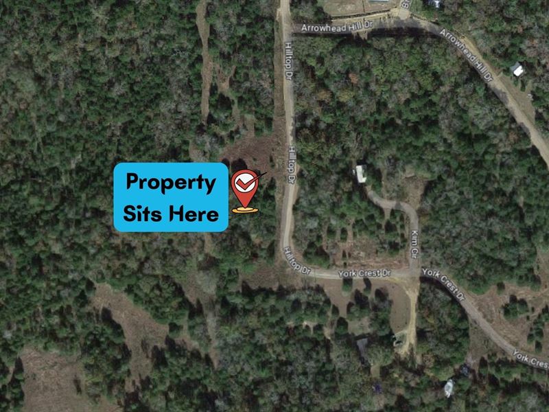 Unrestricted Riverside Land : Coldspring : San Jacinto County : Texas