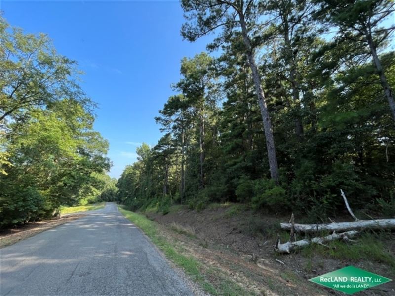 17 Ac, Wooded Tract for Home Or CA : Farmerville : Lincoln Parish : Louisiana