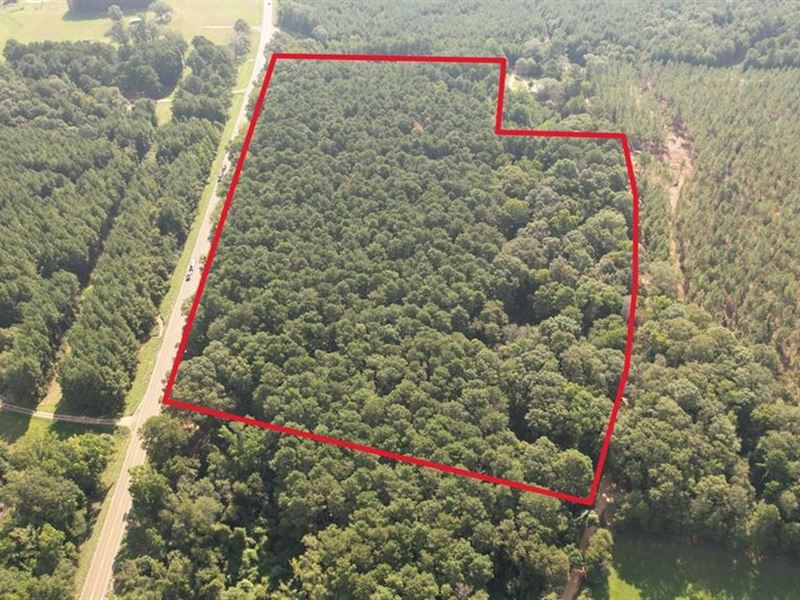 22 Acre Timber/Hunting Tract : Liberty : Amite County : Mississippi