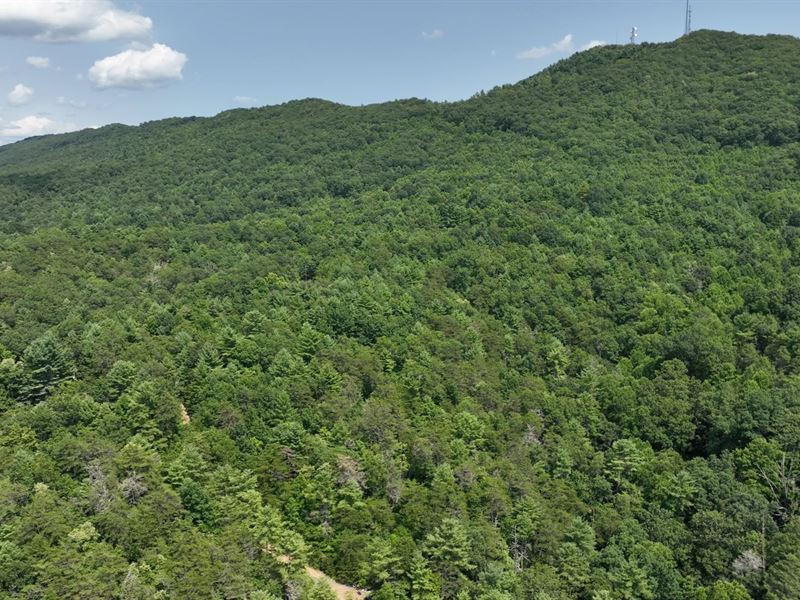 5.359 Acres in Wythe County, VA : Max Meadows : Wythe County : Virginia