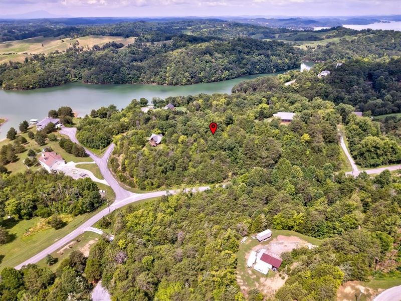 1+ Acre Lot, Douglas Lake View : Dandridge : Jefferson County : Tennessee