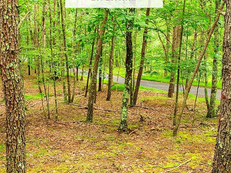 2.79 Acres Only $1 Down, $399/Mo : Romney : Hampshire County : West Virginia