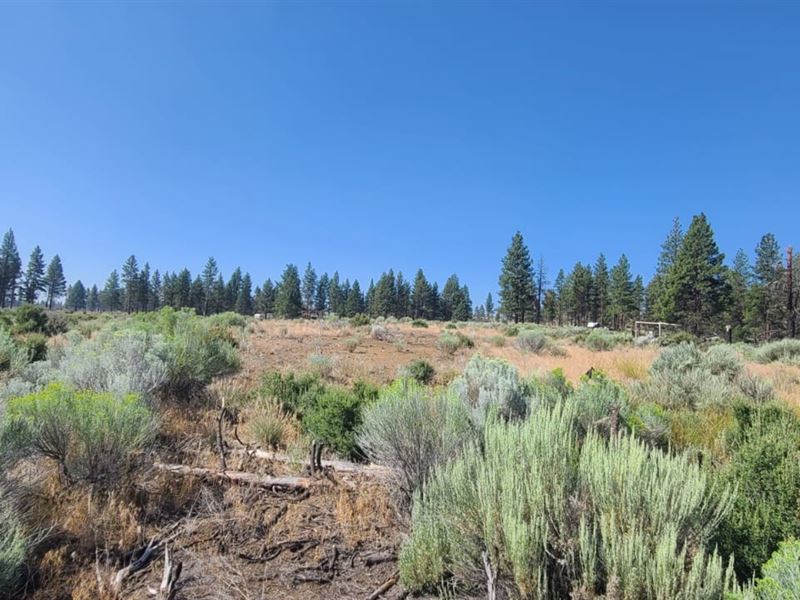 Private Getaway with Easy Access : Chiloquin : Klamath County : Oregon