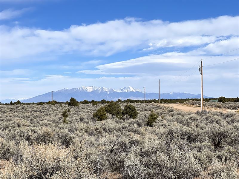 Wild Horses, Power, Road Access : San Luis : Costilla County : Colorado