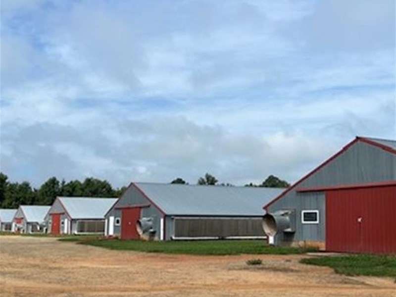 5 House Broiler Farm : Cochran : Bleckley County : Georgia