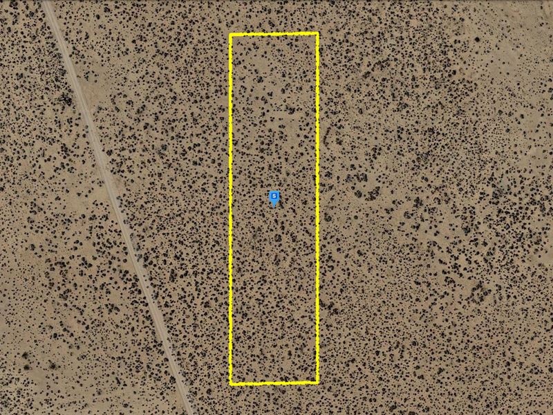 Serene Desert Wonder : Mojave : Kern County : California