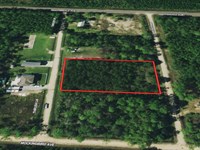 Double Frontage Lot Close To Beach : Bay Saint Louis : Hancock County : Mississippi