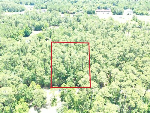 Beautiful Lot Close To The Beach : Bay Saint Louis : Hancock County : Mississippi