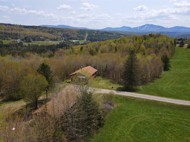 West Burke Forest : West Burke : Caledonia County : Vermont