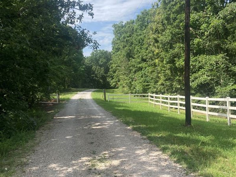 Timber Investment, Great Hunting : Hornsby : Hardeman County : Tennessee