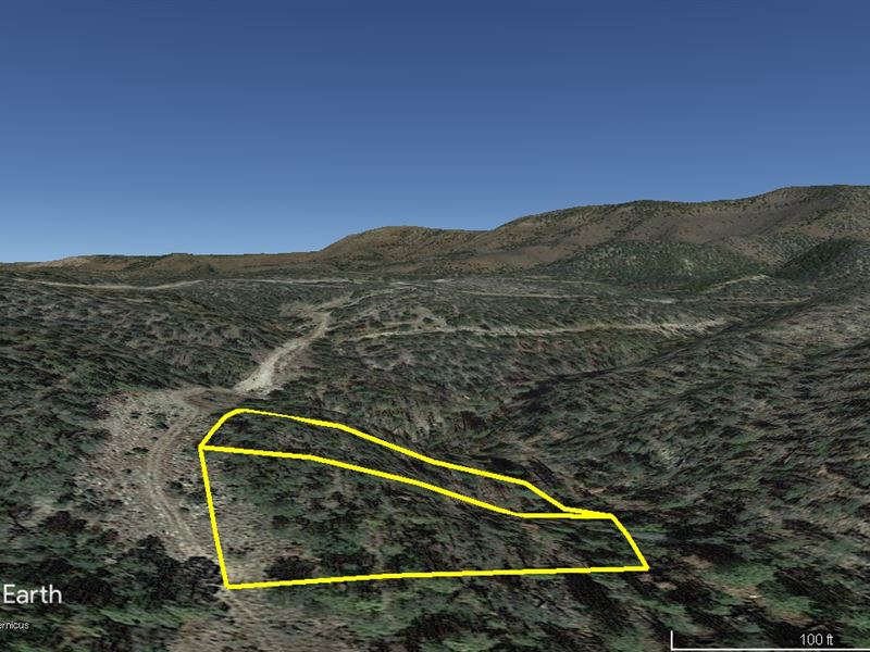 Gorgeous Forested Lots : Timberon : Otero County : New Mexico
