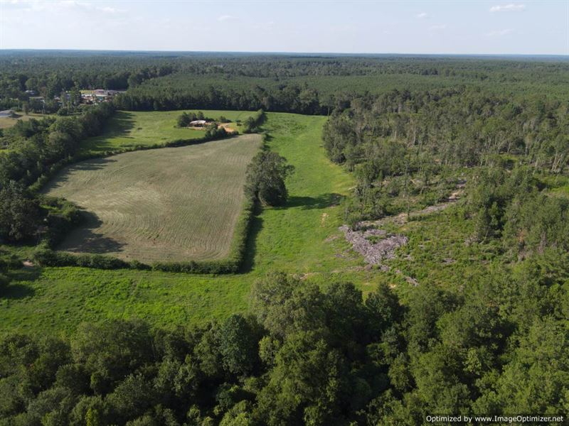 40 AC Cattle Farm for Sale : Summit : Pike County : Mississippi