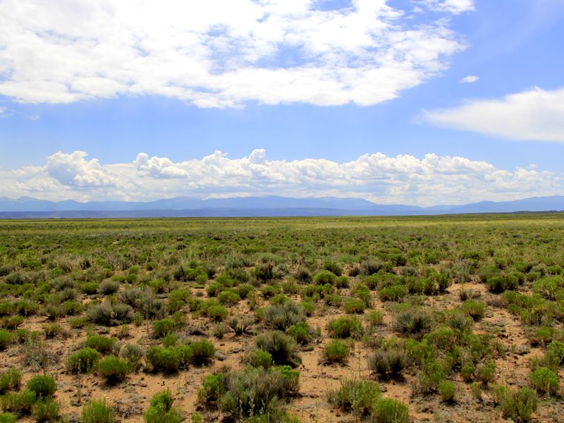 Near The River, Corner Lot, View : San Luis : Costilla County : Colorado