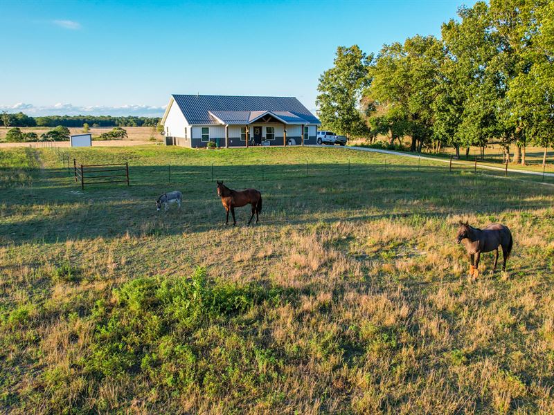 Tnt Productions : Mountain View : Howell County : Missouri