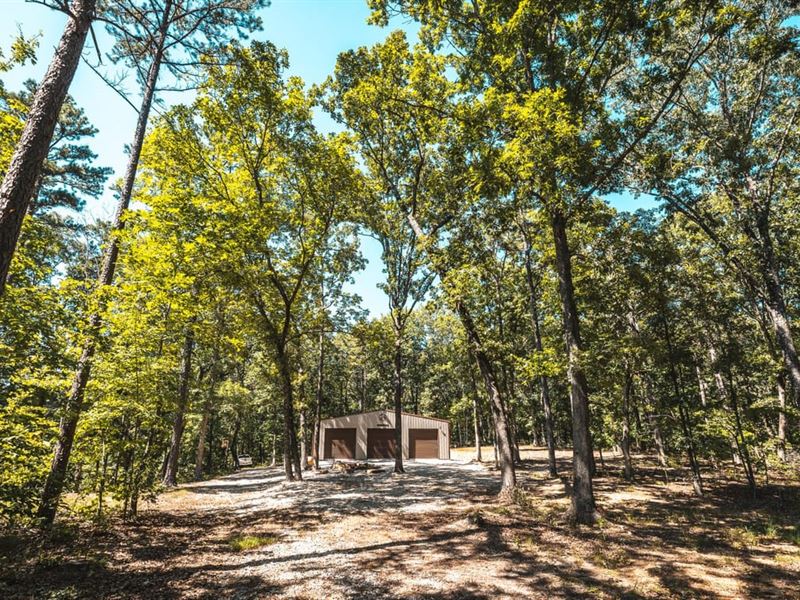 The Curly Hole at Peterball Springs : Salem : Dent County : Missouri