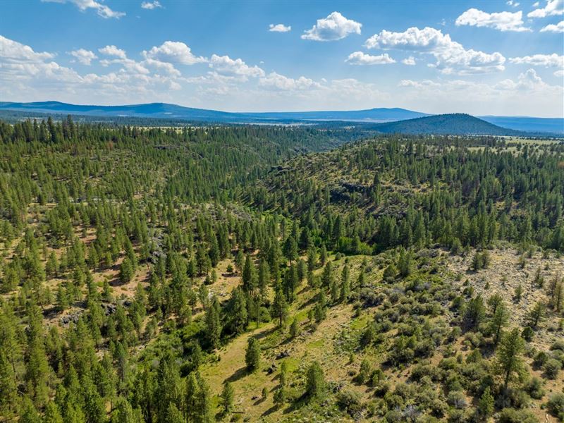 280 Acres in Bly, Oregon : Bly : Klamath County : Oregon