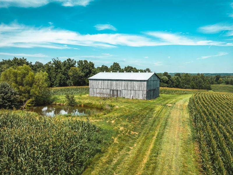 Phillips Farm 222 : Princeton : Caldwell County : Kentucky