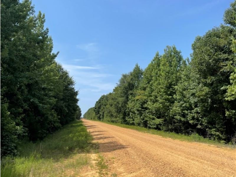 86.1 Acres in Carroll County in Wes : West : Carroll County : Mississippi