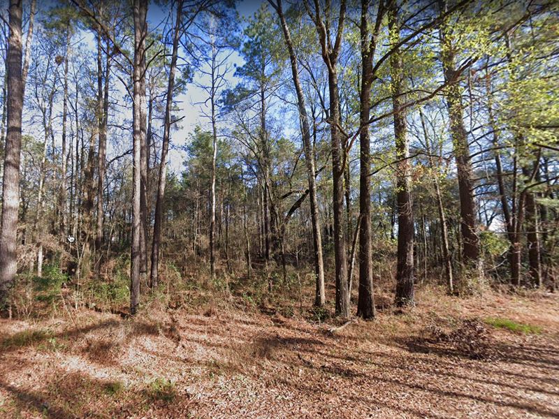 Unrestricted Hunting Land : Deville : Rapides Parish : Louisiana