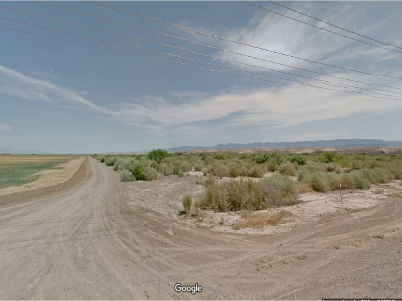 Mohave Valley Majesty for $85/Mo : Mohave Valley : Mohave County : Arizona