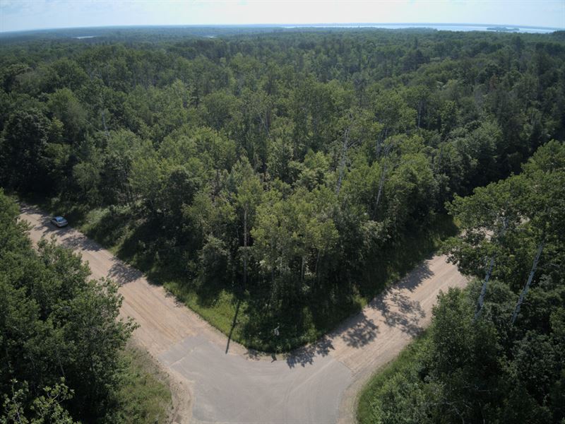 Wooded 0.63 Acre with Power : Breezy Point : Crow Wing County : Minnesota