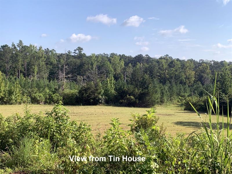 Highway 59 Tract : Pine Apple : Wilcox County : Alabama