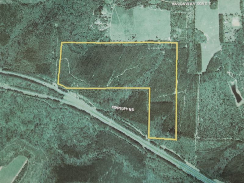 Finnuff Road Beech Property : Chattahoochee : Gadsden County : Florida