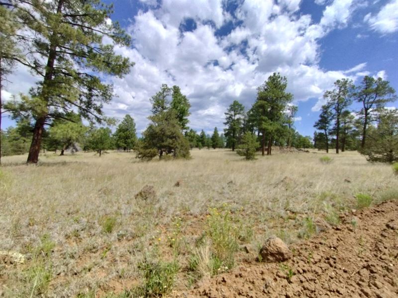 Spacious 5.18 Acres, No Restriction : Ramah : Cibola County : New Mexico