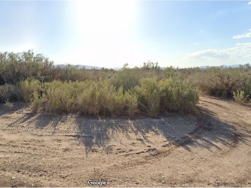 Grab a Corner of Paradise, $95 Down : Mohave Valley : Mohave County : Arizona