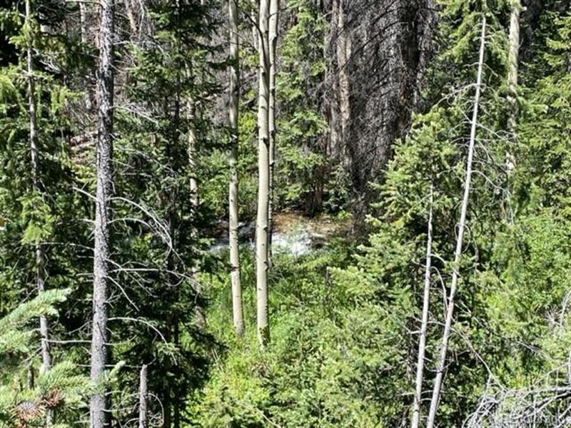 Cabin on 1 Acre : Salida : Chaffee County : Colorado