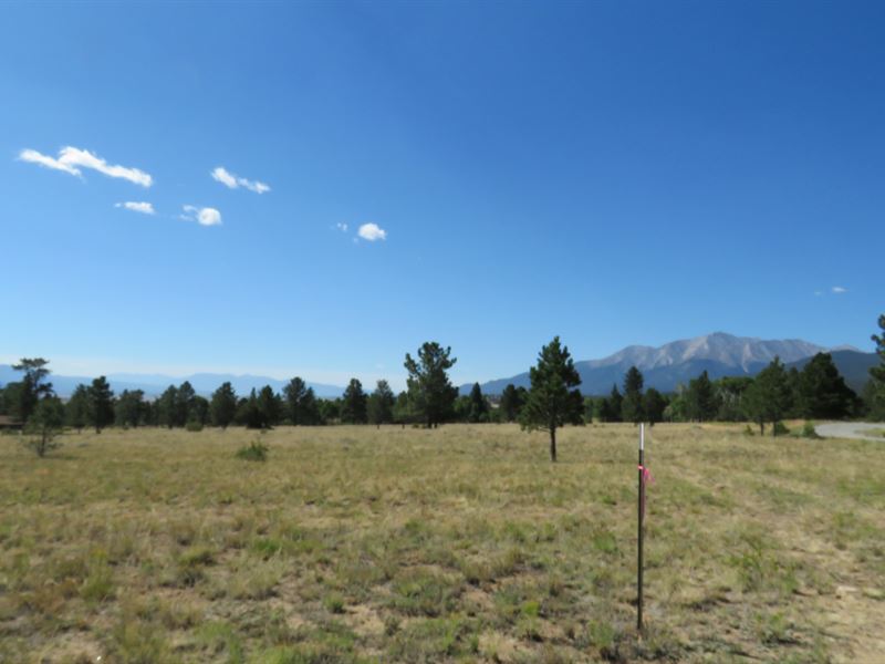 Acreage in Popular Three Elk : Buena Vista : Chaffee County : Colorado