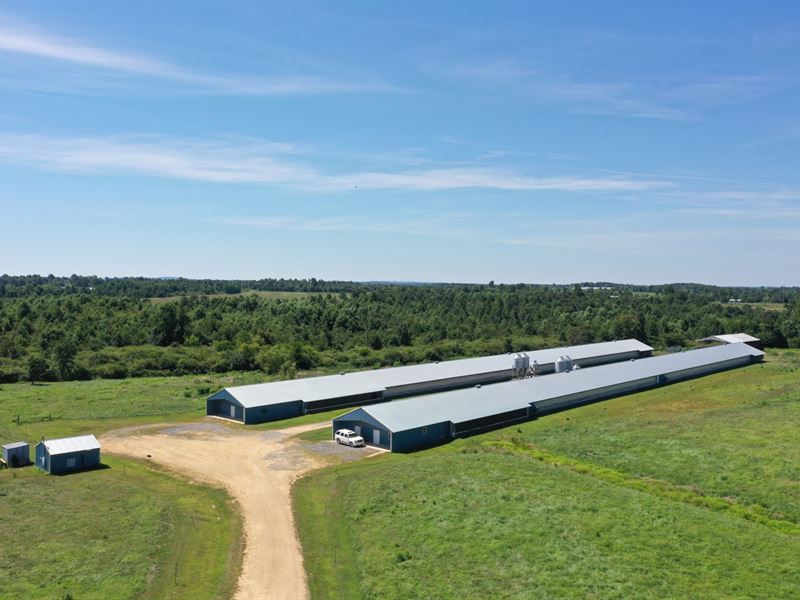 The Blues Breeder Farm : Fort Payne : Dekalb County : Alabama