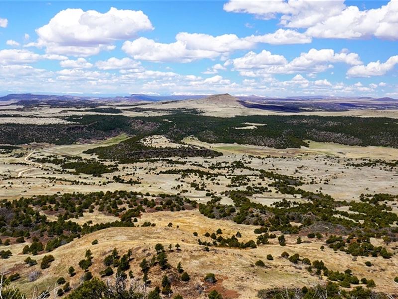 6k Sqft in Des Moines, NM : Des Moines : Union County : New Mexico