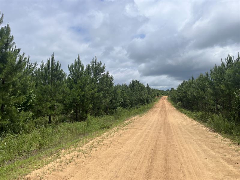 Laurens County Tract : Eastman : Dodge County : Georgia