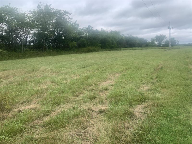 6 Acres in Edgar Springs, Missouri : Edgar Springs : Phelps County : Missouri