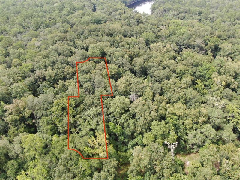 Beautiful.97 Acre Lot Bordering : Lee : Madison County : Florida