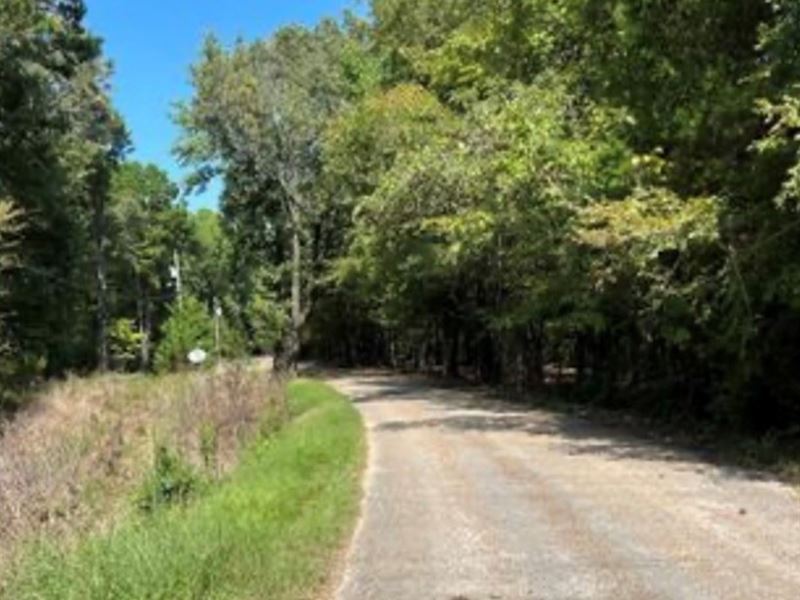 .5 Acres in Yalobusha County in Oak : Oakland : Yalobusha County : Mississippi