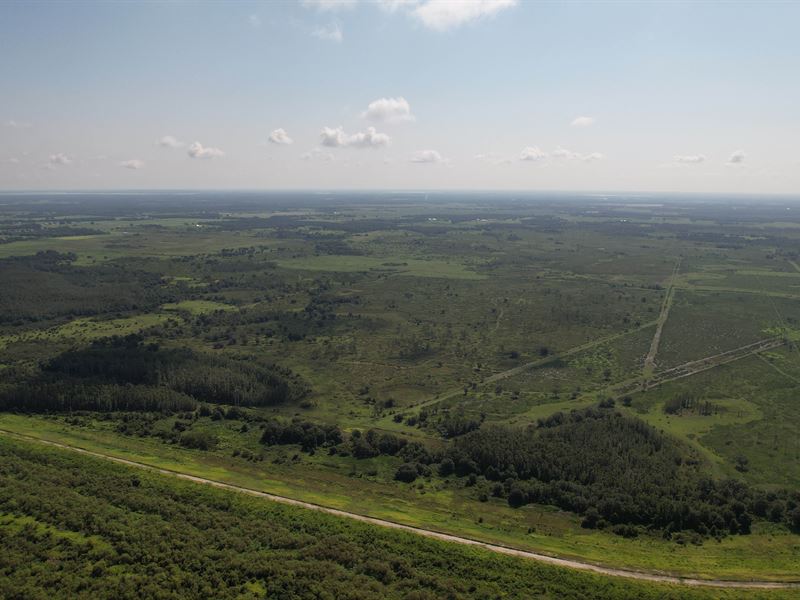 South Polk County Ranch : Fort Meade : Polk County : Florida