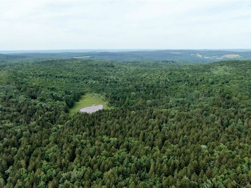 274K Sqft in Colesville, NY : Colesville : Broome County : New York