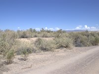 Own a Flat Acre : Mohave Valley : Mohave County : Arizona