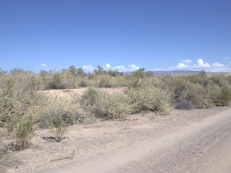 Own a Flat Acre : Mohave Valley : Mohave County : Arizona