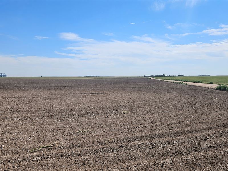 Deuel County Dryland Quarter : Chappell : Deuel County : Nebraska