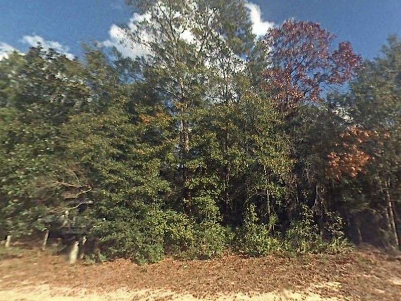 2 Lots for Sale in Fountain, FL : Fountain : Bay County : Florida