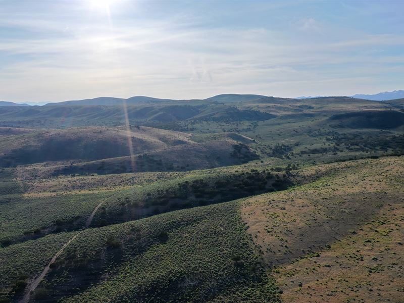 Buy Land in Thriving Elko County : Elko : Elko County : Nevada