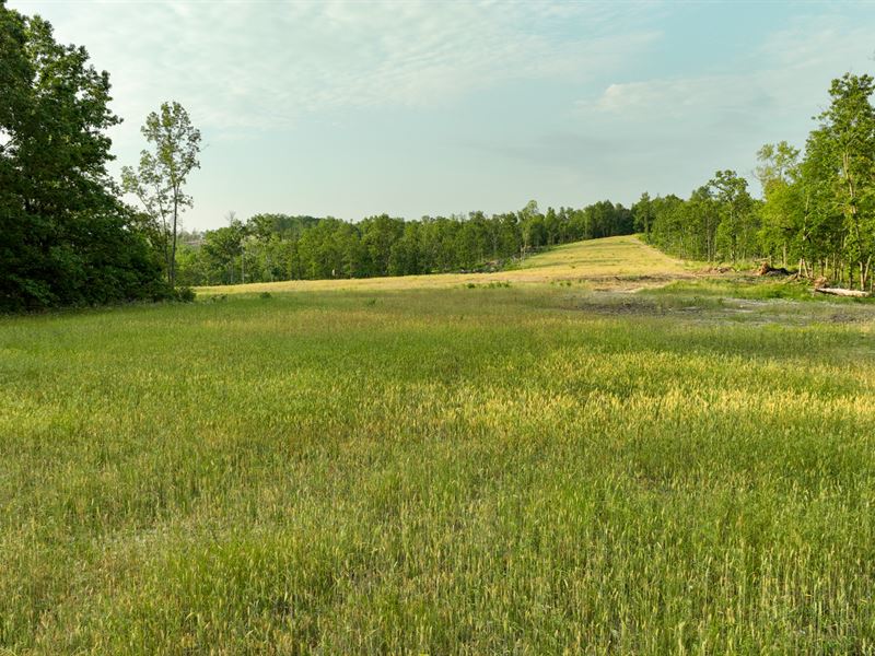 Berry Road Hunting Retreat : Cabool : Texas County : Missouri