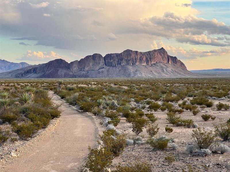 Escape The City to Starry Nights : Alpine : Brewster County : Texas