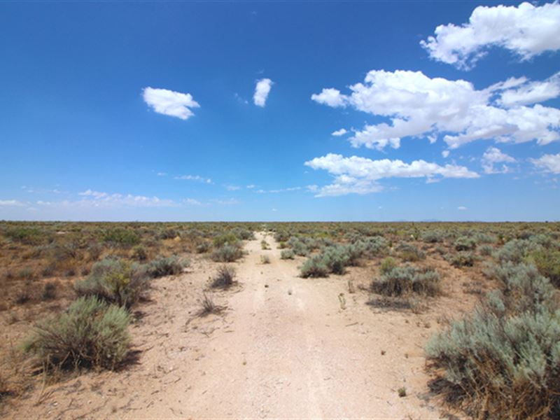 Boundless Opportunities : El Paso : El Paso County : Texas