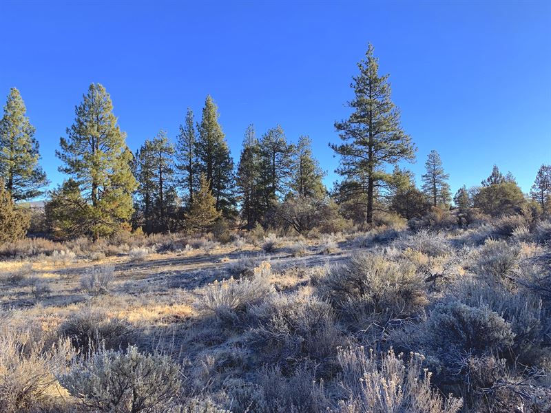 Lake Community Living : Chiloquin : Klamath County : Oregon